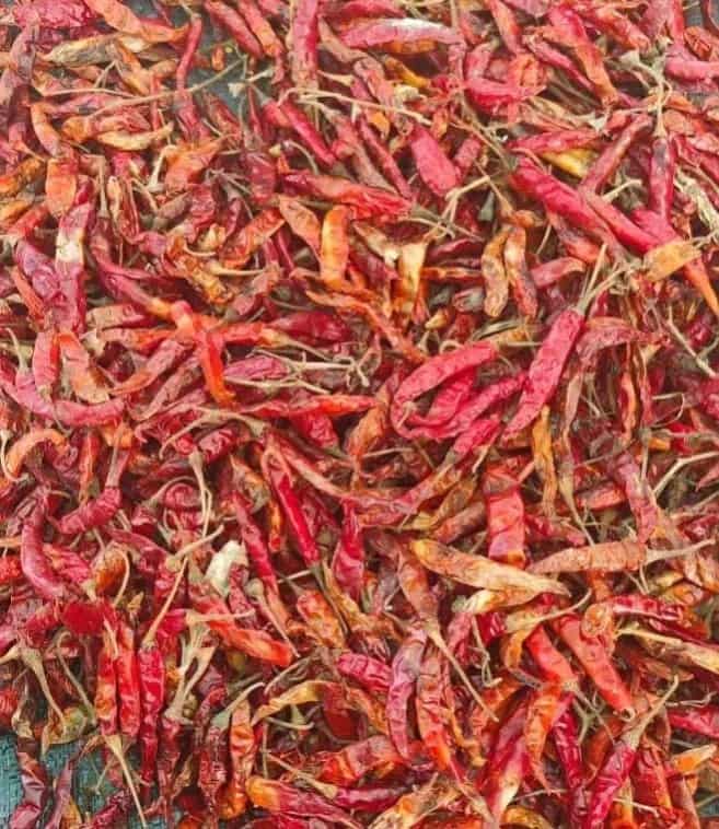 2 Mahi Chilli