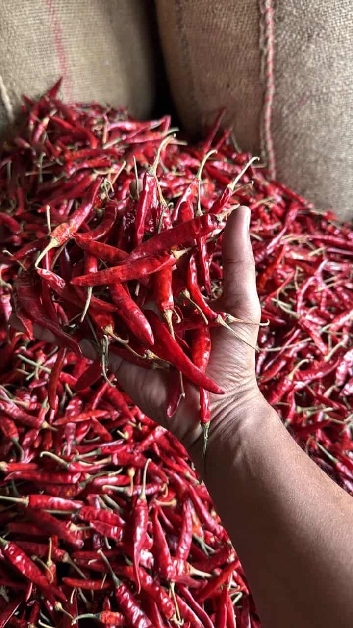 Sannam Chilli